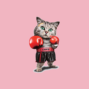 潮牌拳击猫卡通印花辅料衣服装饰贴热转印柯式过粉烫画贴图案