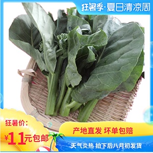 新鲜广东小芥兰 农家绿色无公害蔬菜叶子青菜产地直销特惠3斤包邮