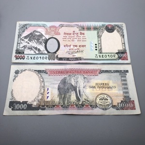 实体店收藏  尼泊尔卢比 尼泊尔钱币 1000元 纸钞 纪念钞
