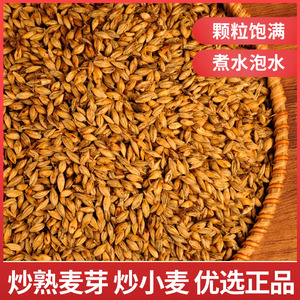 正品炒熟麦芽茶麦粒回奶中药材大麦芽炒麦子熟小麦泡水麦芽茶山楂