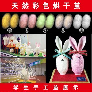 美容蚕茧