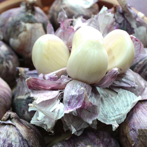 云南大理高原现挖紫皮三瓣蒜大蒜头独头蒜糖醋蒜食用农产品紫皮蒜