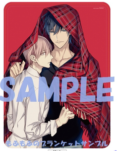 日版现货 宝井理人 ten count 毛毯 10 count 虎穴 特典限定