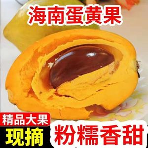 【全国包邮】粉糯蛋黄果新鲜海南鸡蛋果3斤5斤热带水果当季特产