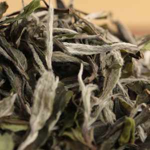银龙福鼎白茶2020年春茶白牡丹一级100g