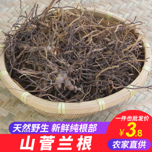 广西野生中草药山菅兰纯根1斤老鼠砒山大箭兰山交剪桔梗兰绞剪草