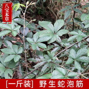 广西现采中药材蛇泡筋叶新鲜可摘嫩芽煲水凉茶中草药农家深山现摘