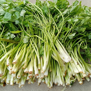 野生水芹菜小叶健康农家野菜新鲜蔬菜5斤种苗根湖南特产现摘现发