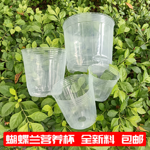 蝴蝶兰专用营养钵兰花植物栽培花盆石斛兰育苗透明塑料盆营养杯