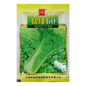 秋绿60白菜种子天津青麻叶大白菜种子长筒型秋季蔬菜种子10包包邮
