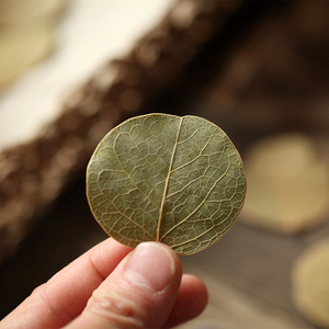 进口天然圆形树叶diy材料拍照背景道具原材料干果花材配饰zakka