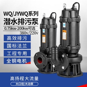 上海人民污水泵380V无堵塞工程排污泵抽粪泥浆集水井高扬程潜水泵