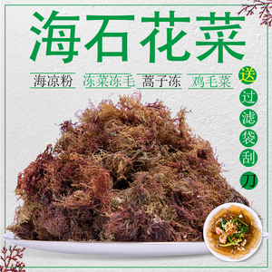 青岛鸡毛菜紫红色海石花菜岩衣水晶凉粉石花膏冻菜蒿子冻海毛菜冻