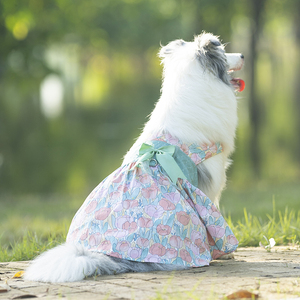 它小灶狗狗胸背裙衬衫衣服宠物大型犬裙子吊带裙可爱甜美萨摩耶