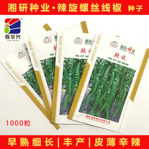 湘研种业辣椒种
