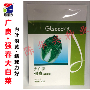 陈华兴 广良牌强春大白菜种子 改良型早熟种抽苔晚白菜种子10g