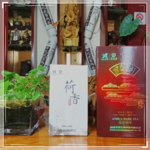 湖南安化黑茶华莱健荷香特制茯砖900克老茶原厂官网代购包邮促销