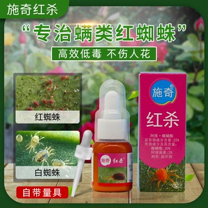 红蜘蛛专用药国光