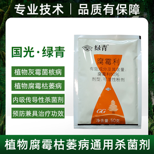 国光绿青腐霉利花卉葡萄番茄黄瓜草莓灰霉病菌核病速克灵杀菌剂