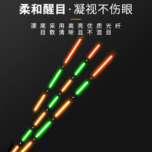 加粗大目夜光漂尾