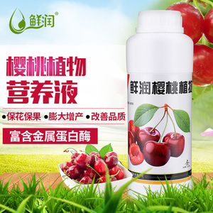 樱桃树坐果叶面肥料樱桃营养液车厘子保花保果专用肥增大增甜增色