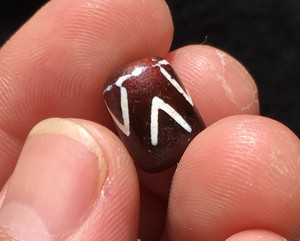 清代西藏旁系天然玉髓红玛瑙天珠虎牙天珠包老保真