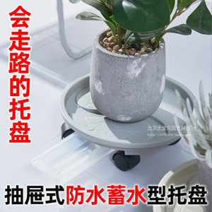抽花盆托盘水
