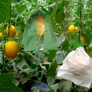 甜瓜哈密瓜套袋专用袋甘瓜罗纹瓜果袋香瓜纸袋防虫防菌水果套袋子