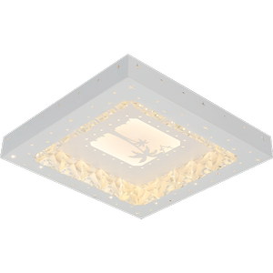 五光十色照明现代简约大气吸顶灯wb72132方240