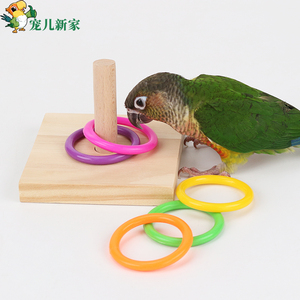宠儿新家鹦鹉套圈圈鸟玩具 益智玩具 鹦鹉用品大全用具 训练工具