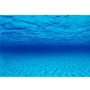 高清3d双面鱼缸活动背景墙贴纸膜鹦鹉鱼图锦鲤字山水海底世界立体