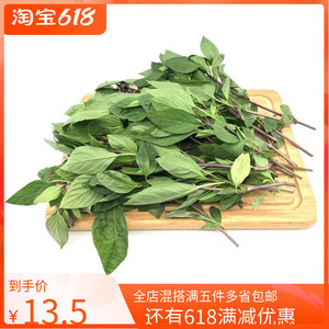 九层塔金不换泰国罗勒叶三杯鸡冬阴功香料thai basil100g 1份包邮