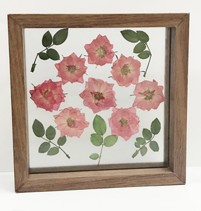 【干燥花压花】干燥花压花品牌,价格 - 阿里巴巴