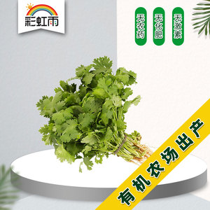 38德宏原产地商品官方旗舰店天猫云南香菜1斤特产新鲜刺芫荽刺芹