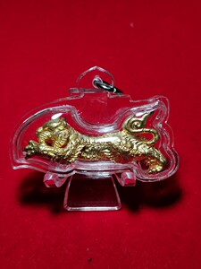 古巴磐石食人虎