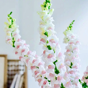 半田花信-金鱼草鲜切花秋冬限定水养小花束 云南直发鲜花顺丰包邮