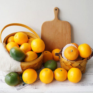 高仿加重新奇士橙子PU手感桔子橘子模型 装饰假水果蔬果摄影道具