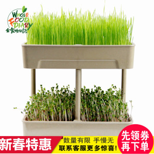 【搭建家庭小农场】全食物日记稻谷壳芽菜箱 芽苗箱 水培种植箱