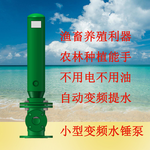 小型水锤泵不用电不用油宜景立式自动变频抽水机补水水泵高扬程