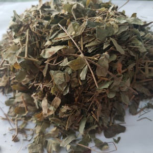 鸡骨草500克包邮