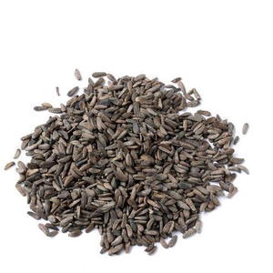 80御膜坊商贸淘宝中药材牛蒡子粉种子 牛旁子牛蒡籽牛蒡籽鼠粘子 黍