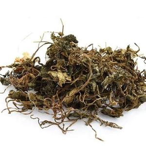 青天葵草 独叶莲 半边伞 青天葵 500g克130元 中药材初级农产品