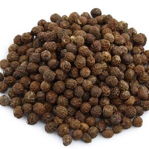 900人付款淘宝法桐种子青桐种子梧桐树籽征地占地春季绿化行道专用