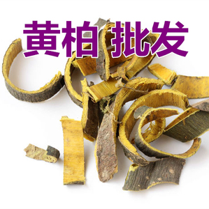 中药材黄柏