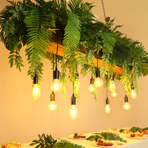 吧台吊灯创意餐厅装饰灯长条大桌灯橱窗阳光房庭院装饰植物灯