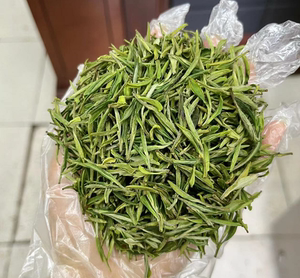 2022年新茶皖南春茶庄明前一级散装绿茶溪口高山茶黄花云尖条形