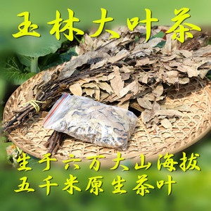 广西玉林农产品土特产大叶茶原始森林野生健康茶清香润喉50克热卖