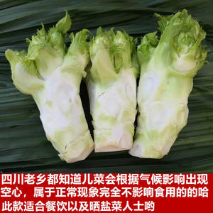 四川儿菜新鲜蔬菜娃娃菜抱儿菜南充芥菜整棵母子泡菜榨菜3/5/8斤