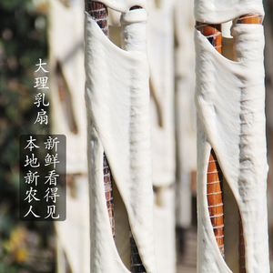 云南特产乳扇邓川