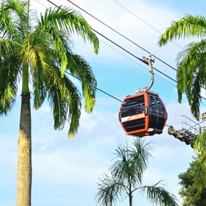 [新加坡缆车-时光之翼+空中缆车通票（往返）]新加坡圣淘沙花柏山双线往返票+时光之翼门票